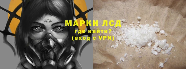 ECSTASY Алзамай