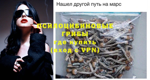 ECSTASY Алзамай