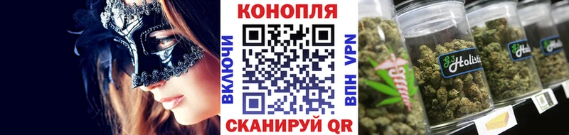 Каннабис OG Kush Тихвин